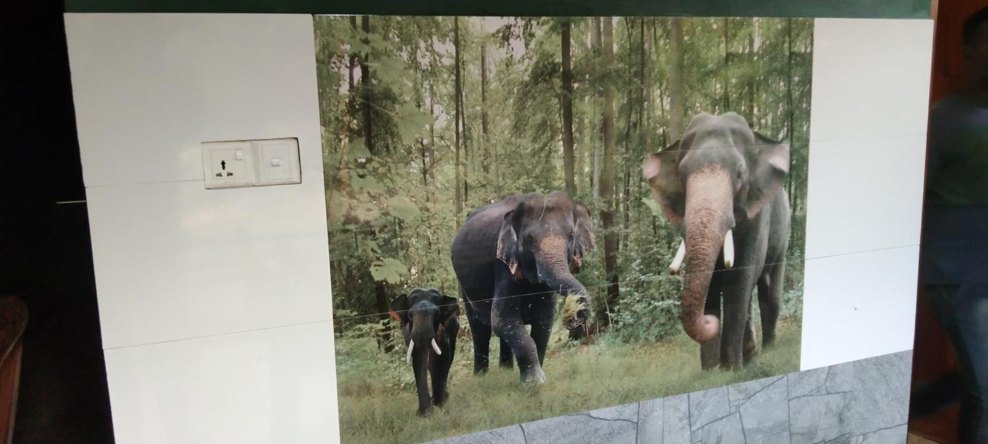 Kanneliya Eco Garden Hotel Koralegama 외부 사진